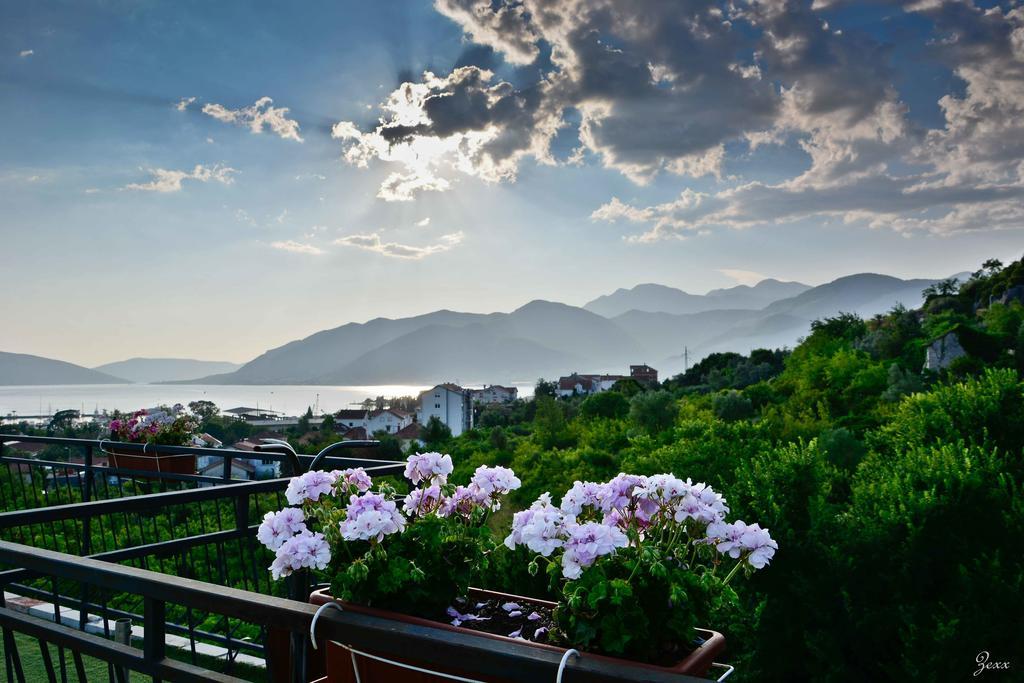 Hostel Anton Tivat Ngoại thất bức ảnh